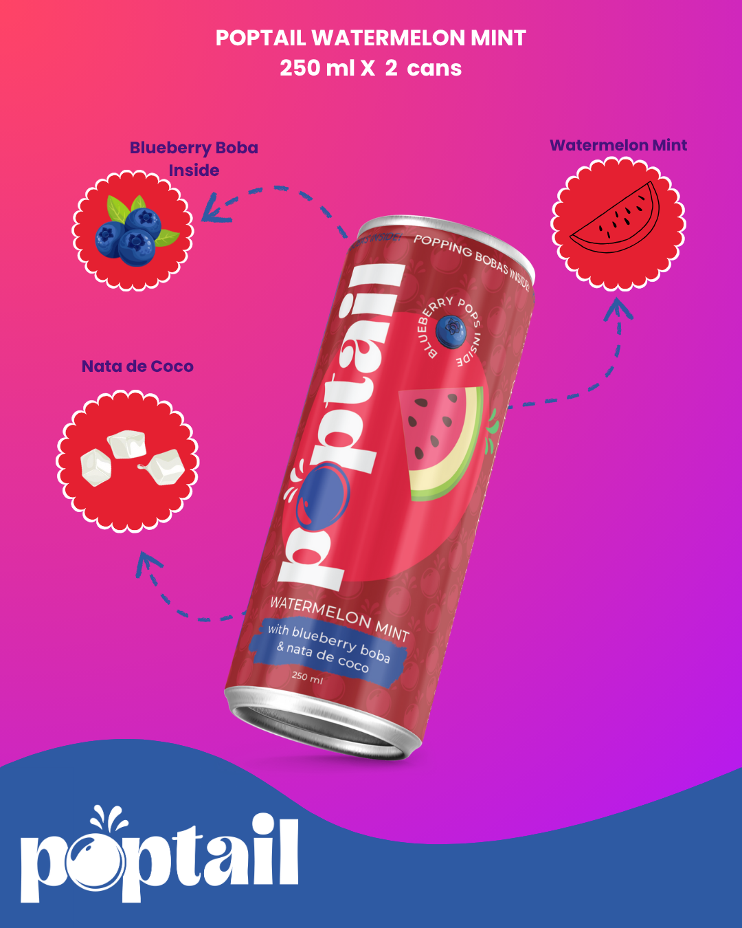 Poptail Mix Variety Box (Pack of 4)